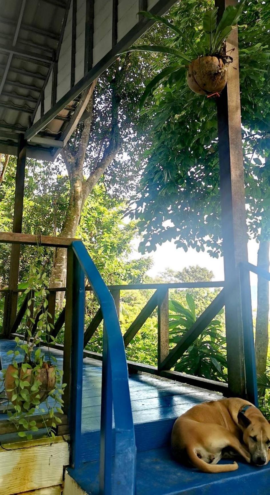 Rasta View Bangalows Koh Chang Bagian luar foto